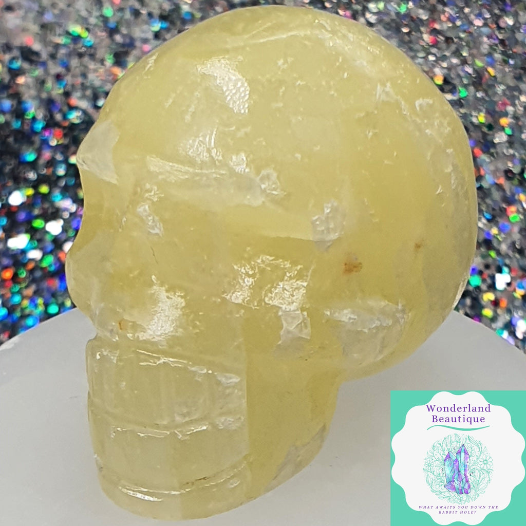 Wonderland Beautique - Pineapple Calcite Skull